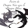 Fusion du Dragon Noir avec le Dragon Blanc